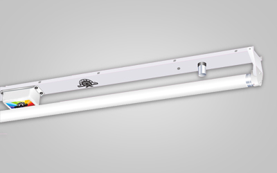 popular patti in mumbai